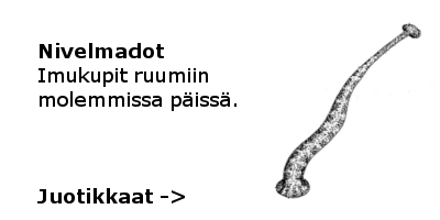 Juotikkaat