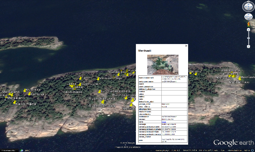 Saaren lajistoa mobiilisti kerättynä