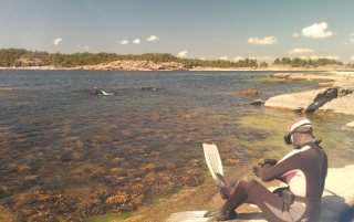 Itämeripäivä – konsepti