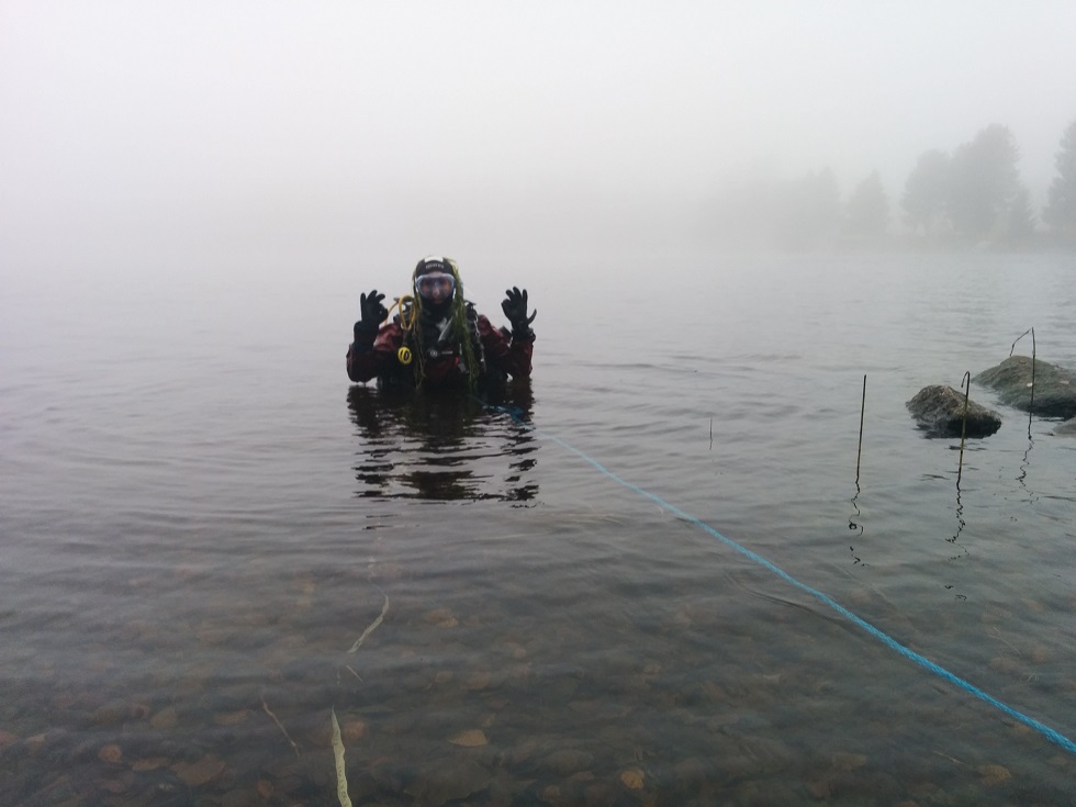 Sukeltaja ja aamupäivän usvaa.