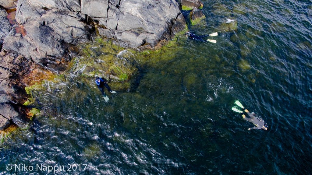 Snorklaajat vedessä