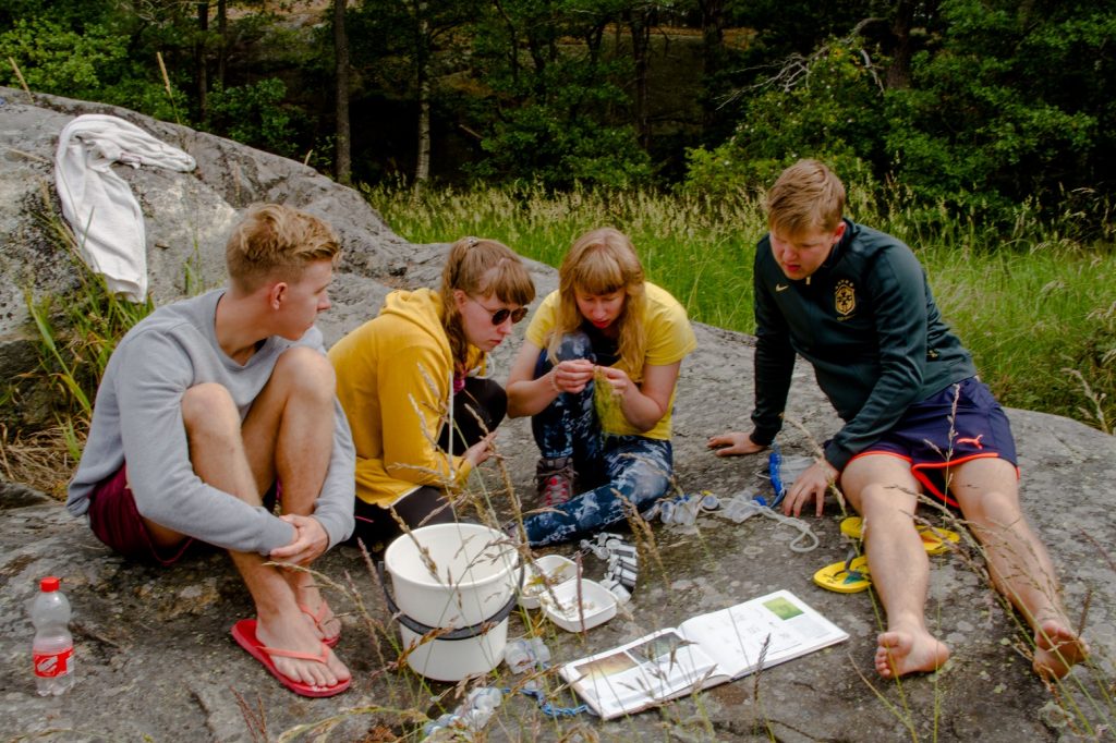 Kurssilaiset tutkivat näytteitä saaren rannassa