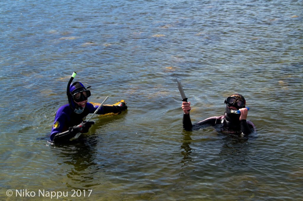 Rakkolevien mittausta ja näytteiden keräämistä