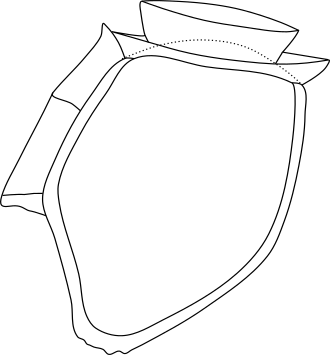 Dinophysis_norvegica panssari(siima)levä (kuva: Niko Nappu).