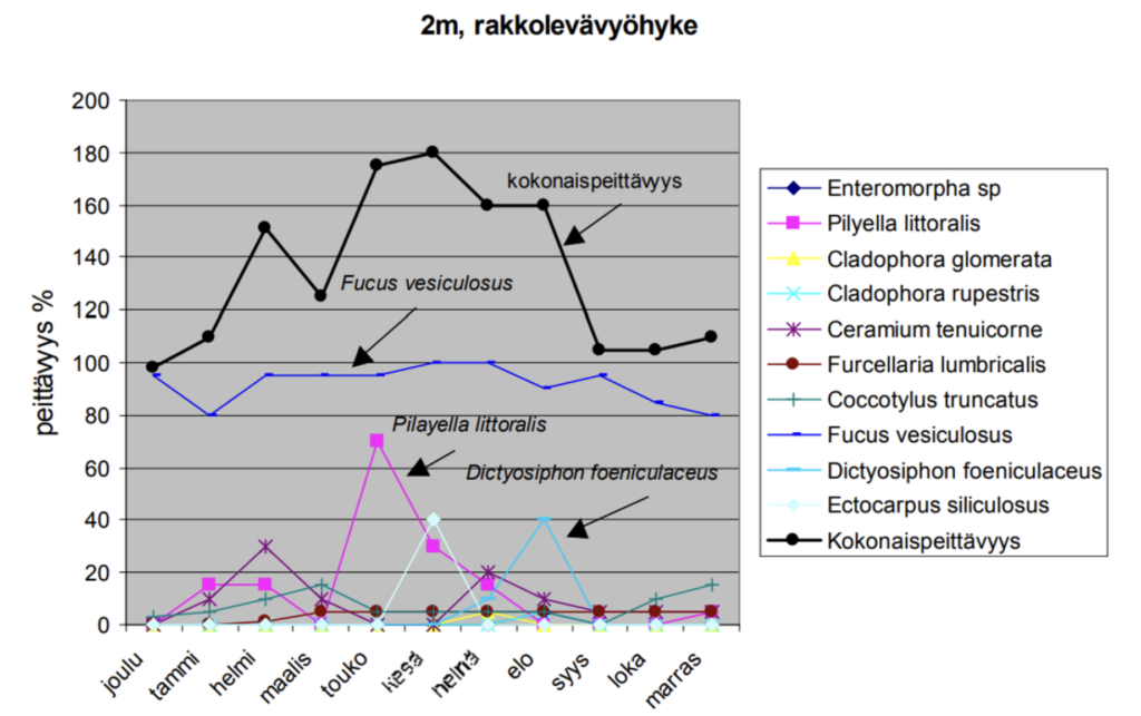 Levälajien vuodenaikainen peittävyys eri syvyyksissä vuoden 2002 aikana Tvärminnen saaristossa. (kuva: Makrolevien vuodenaikaisuus 2001 – 2002 kurssiraportti, Helsingin yliopisto).
