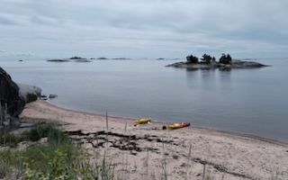 Vesiluontokurssi – Itämeri – ekologia