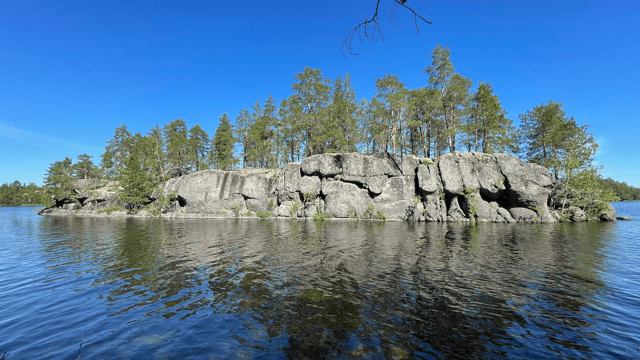Saari Puulalla. Kuva: Niko Nappu.