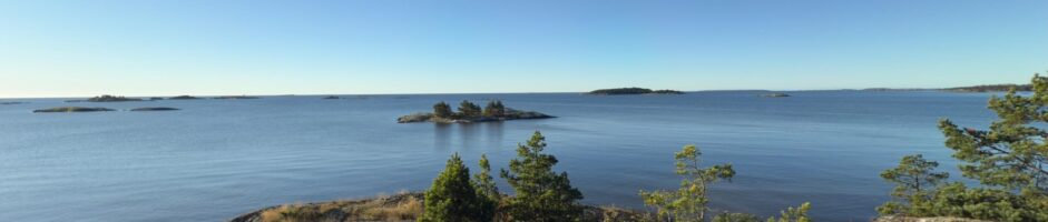 Viikon merijutut